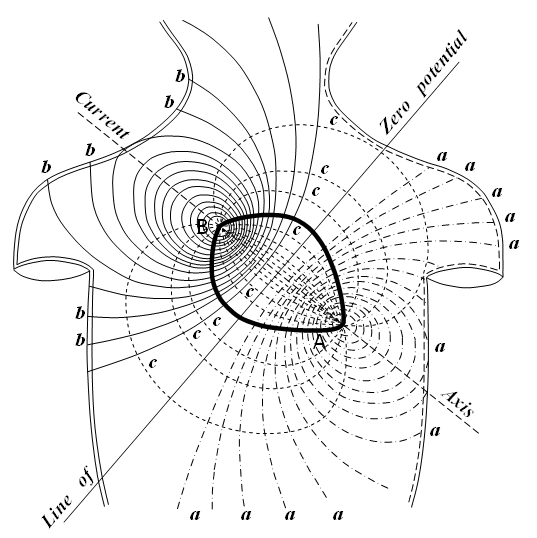 heart-field